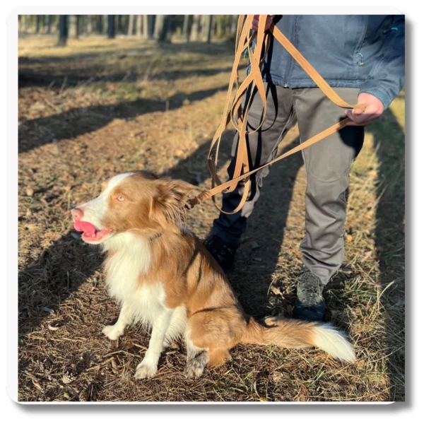 Smycz antypoślizgowa BRĄZOWA