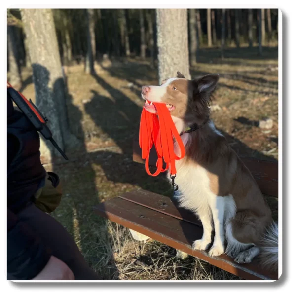 Smycz wodoodporna CZERWONA