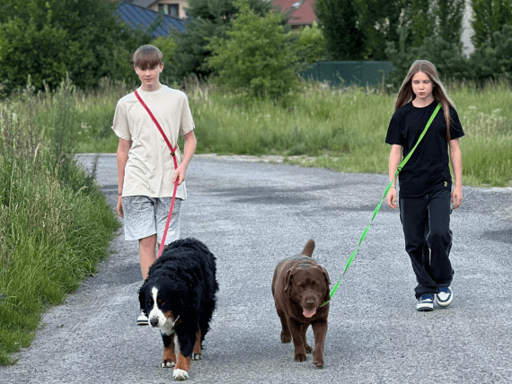 Regulowana smycz antypoślizgowa SIMBAO