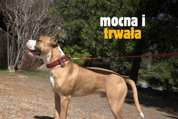 Mocna i trwała Odporna na zrywanie smycz odblaskowa SIMBAO
