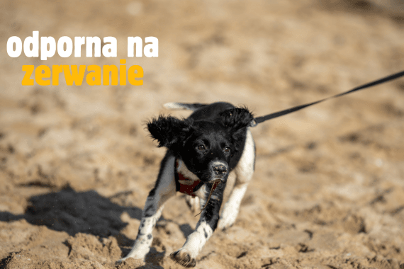 Odporna na zrywanie smycz odblaskowa SIMBAO