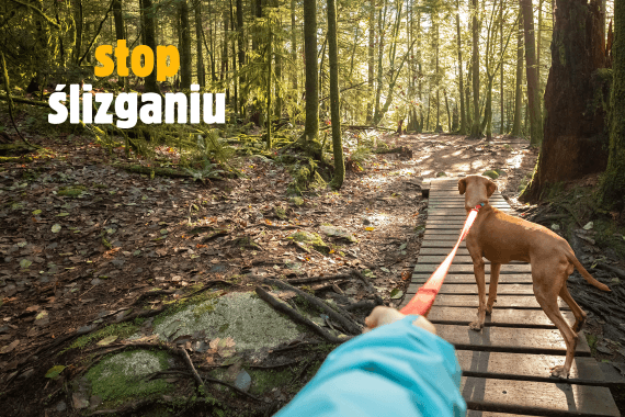 Smycz treningowa HUNTER nie ślizga się w rękach