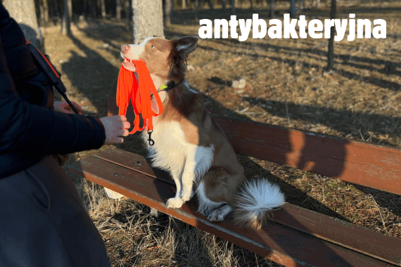 Smycze antybakteryjne