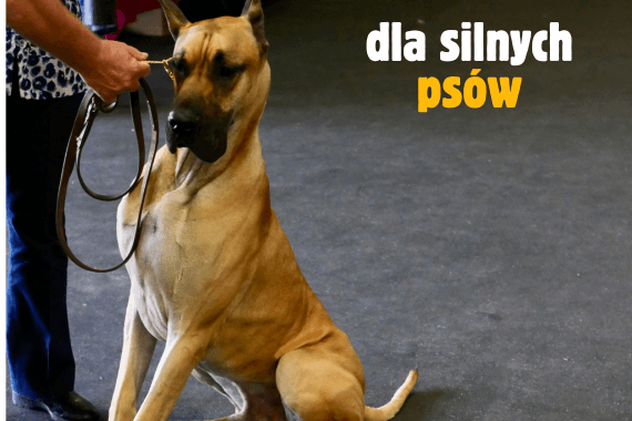 BLOK_SILNE_PSY