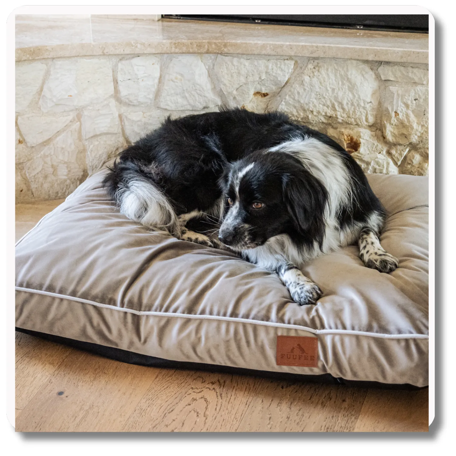 Legowisko dla psa <br>MATERAC HAZELNUT - obrazek 2