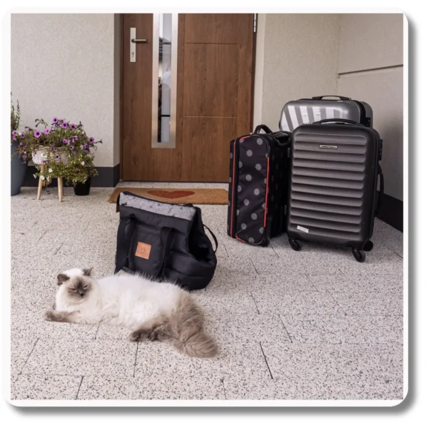 TORBA TRANSPORTER DLA PSA SPASSO SIMPLE