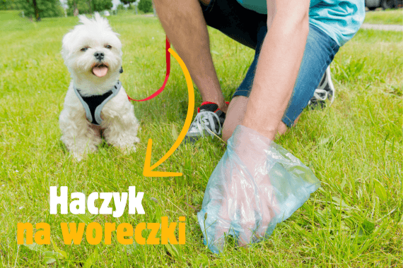 Zalety klasycznych smyczy simbao