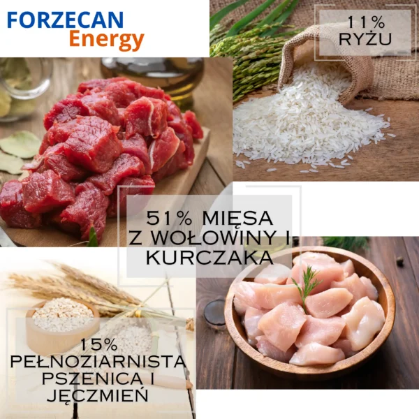 Karma Sucha Dla Psa 51% Mięsa Bez GMO FORZECAN ENERGY- 20kg