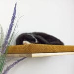 Półka ścienna dla kota, wisząca PŁASKA 60 cm SH-F-60