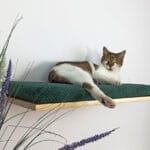 Drewniana półka ścienna dla kota, wisząca PŁASKA 75 cm SH-F75