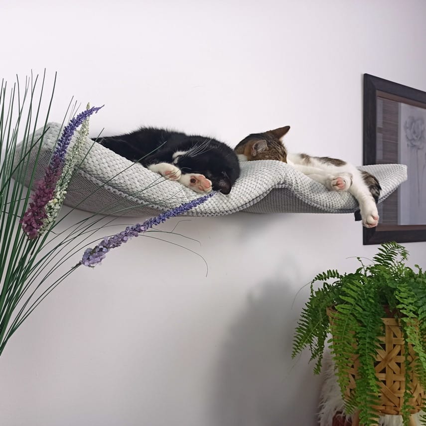Półka ścienna dla kota, wisząca PODWÓJNY ŁUK 100 cm SH-M-DA100 - obrazek 8