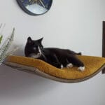 Półka ścienna dla kota, wisząca ŁUK 60 cm SH-W-A60