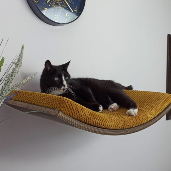 Półka ścienna dla kota, wisząca ŁUK 60 cm SH-W-A60