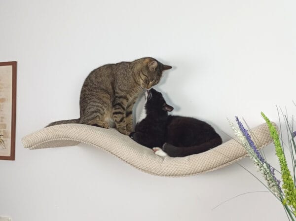 Półka ścienna dla kota, wisząca FALA SP 75 cm SH-M-W75SR - obrazek 7
