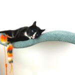 Półka ścienna dla kota, wisząca FALA NL 75 cm SH-M-W75UL