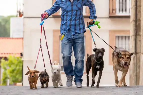 Obroże wodoodporne SIMBAO