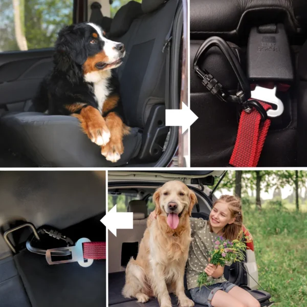 Pas dla psa do samochodu