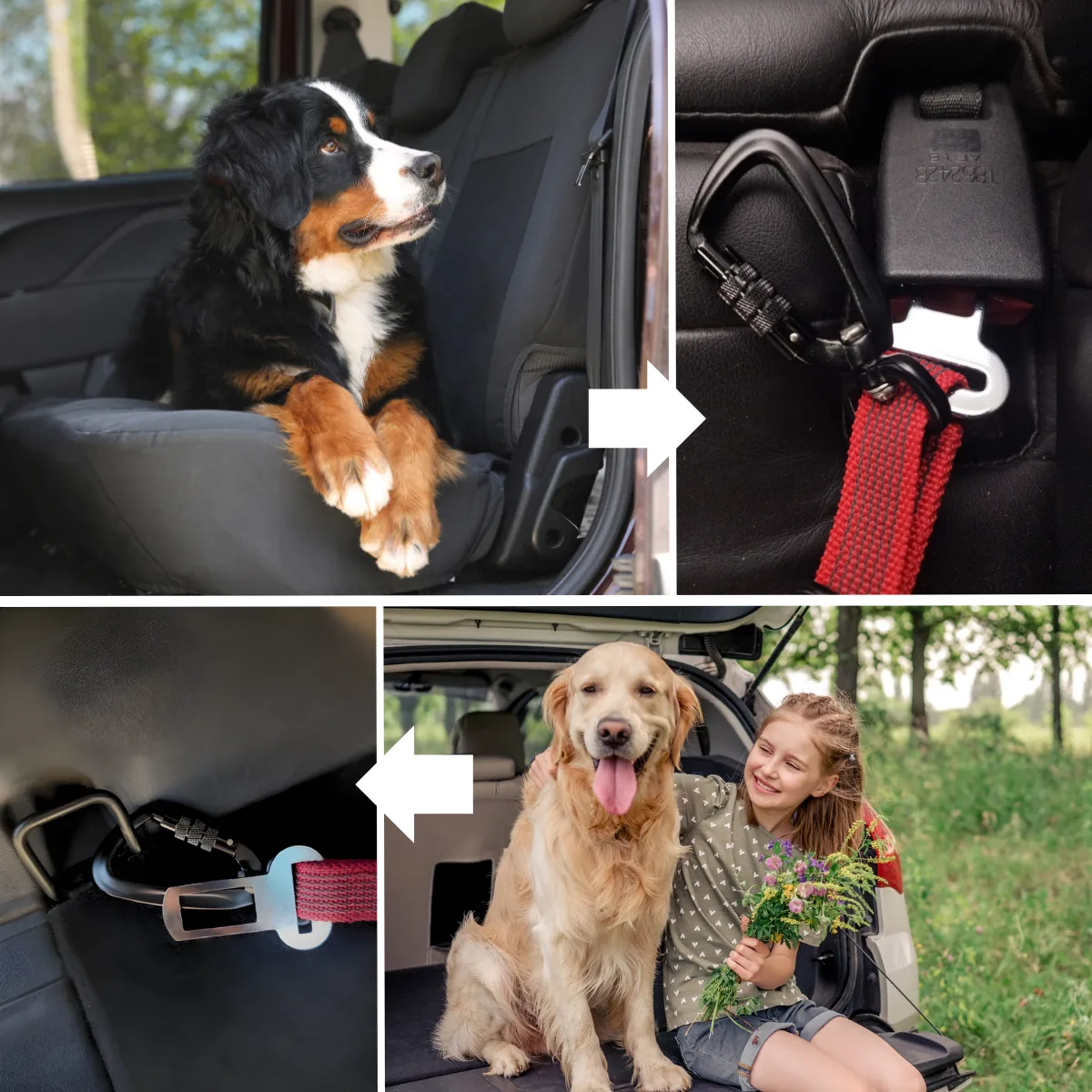 Pas dla psa do samochodu