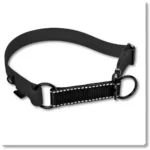 c9158b431637e8b224471c5e91dec556