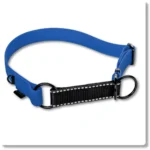 6fd297142008ec0133403b74e658e26e