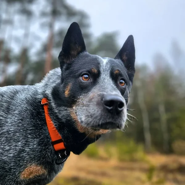 8880cf4ee86e6e5ac4cbff890b3c0890